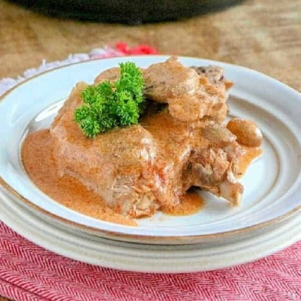 instant pot Pork Chop Recipes