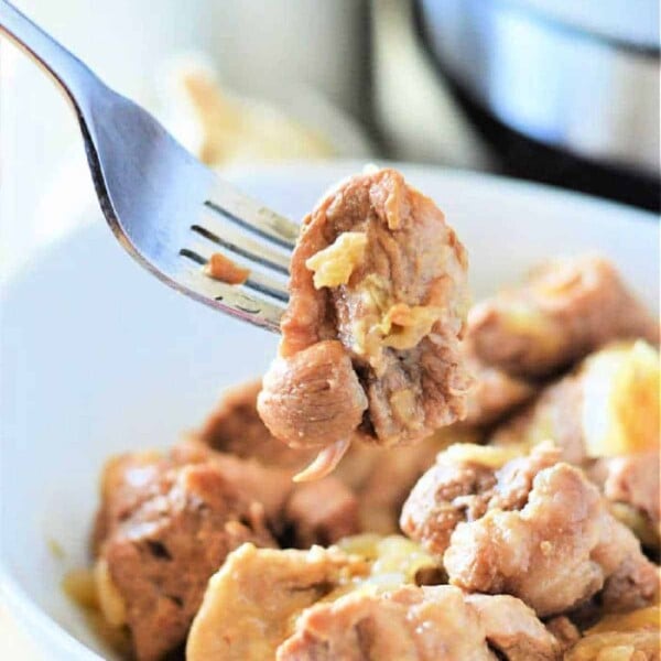 pressure cooker pork adobo