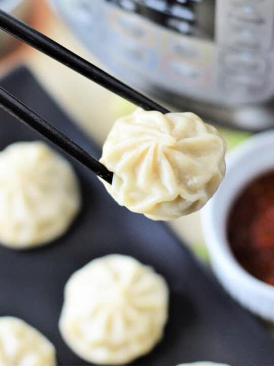 Air Fryer Dumplings with Crescents Ninja Foodi Apple Hand Pies