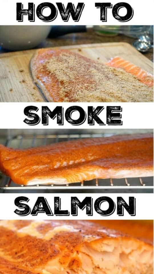 Traeger Smoked Salmon with Dry Rub Salmon on Pellet Grill