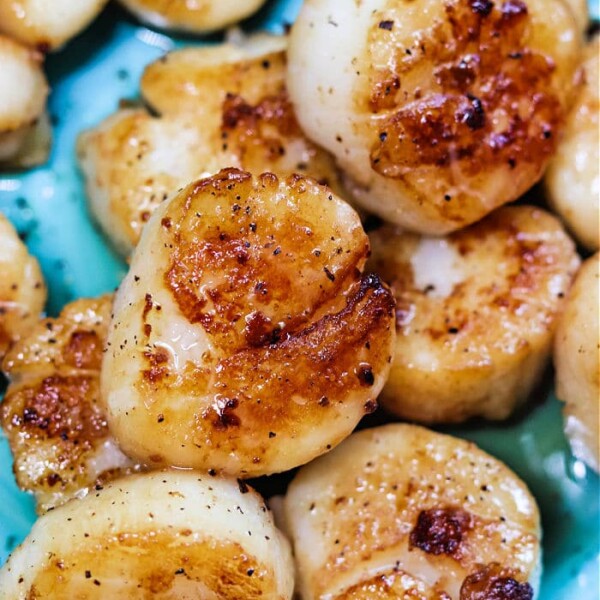 Close-up of seared scallops with a golden crust on a blue plate, perfect inspiration for those wanting to master how to cook frozen scallops.