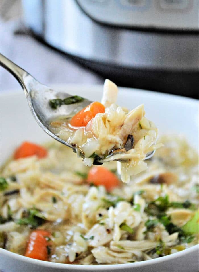 Instant-Pot-Chicken-Rice-Soup