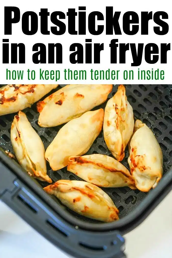 Potstickers in an air fryer basket, perfectly tender on the inside. Discover how to achieve this delightful texture with our guide: Potstickers in Air Fryer Tips.