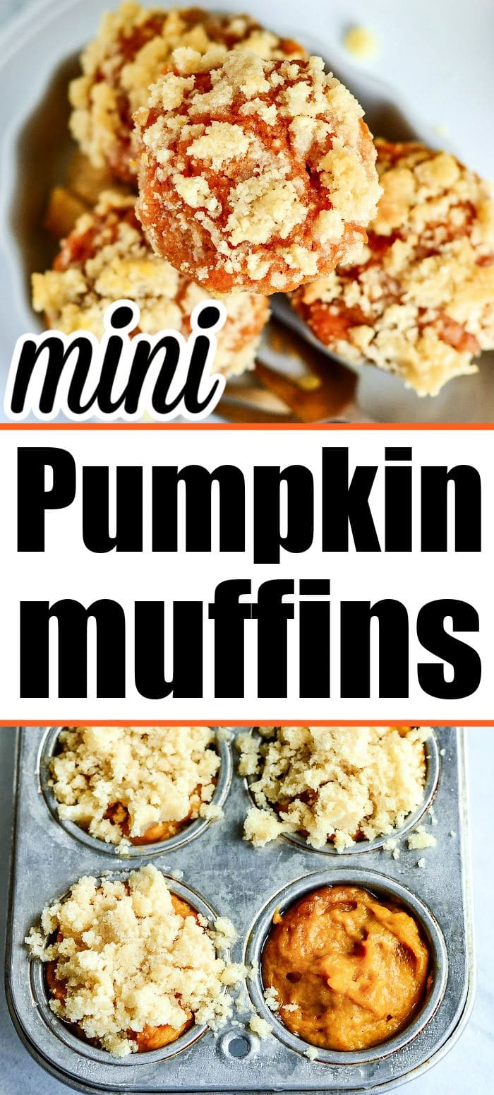 Mini Pumpkin Muffins At 350 With Chocolate Chips Or Streusel   Pumpkin Muffin Mini 