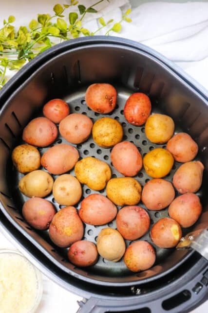 Smashed Potatoes Air Fryer - Ninja Foodi Smashed Potatoes