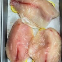 How to Cook Frozen Tilapia