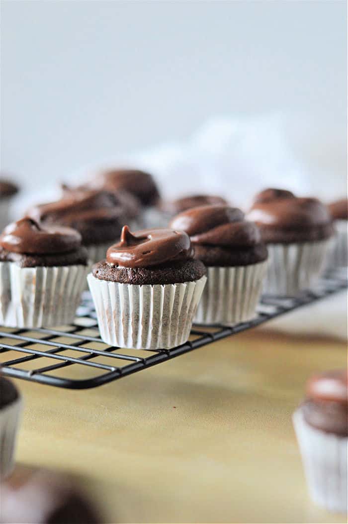 Mini Chocolate Muffins