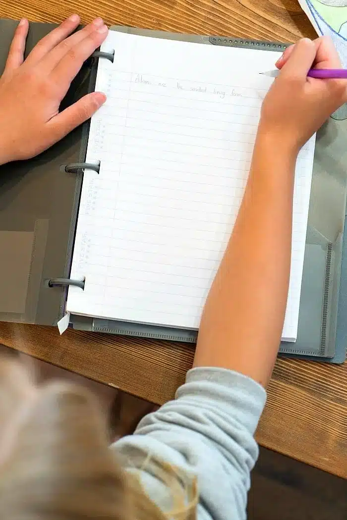 A person with light hair is using a purple pen to write in a notebook, exploring ideas for free homeschool programs. The notebook rests on a wooden table, inside a binder, while the person wears a gray long-sleeved shirt. The text on the page is partially visible.