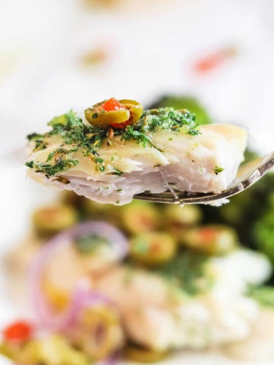 Perfect Air Fryer Mahi Mahi Ninja Foodi Mahi Mahi Fish