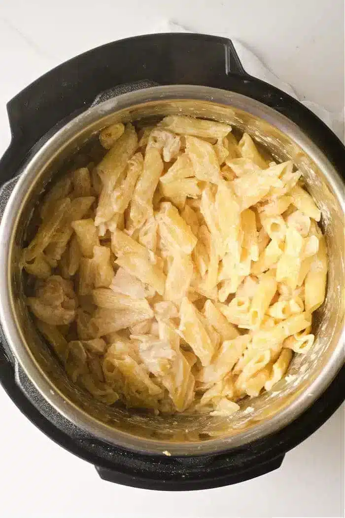 Frozen Chicken and Noodles Instant Pot or Ninja Foodi