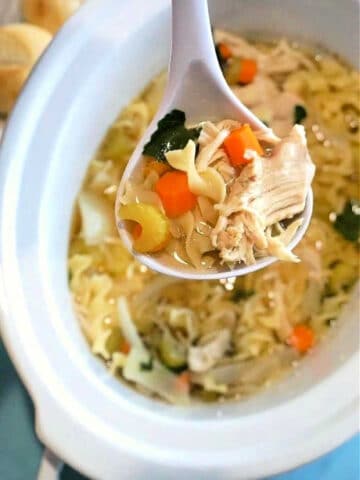 Crockpot Chicken Soup No Noodles