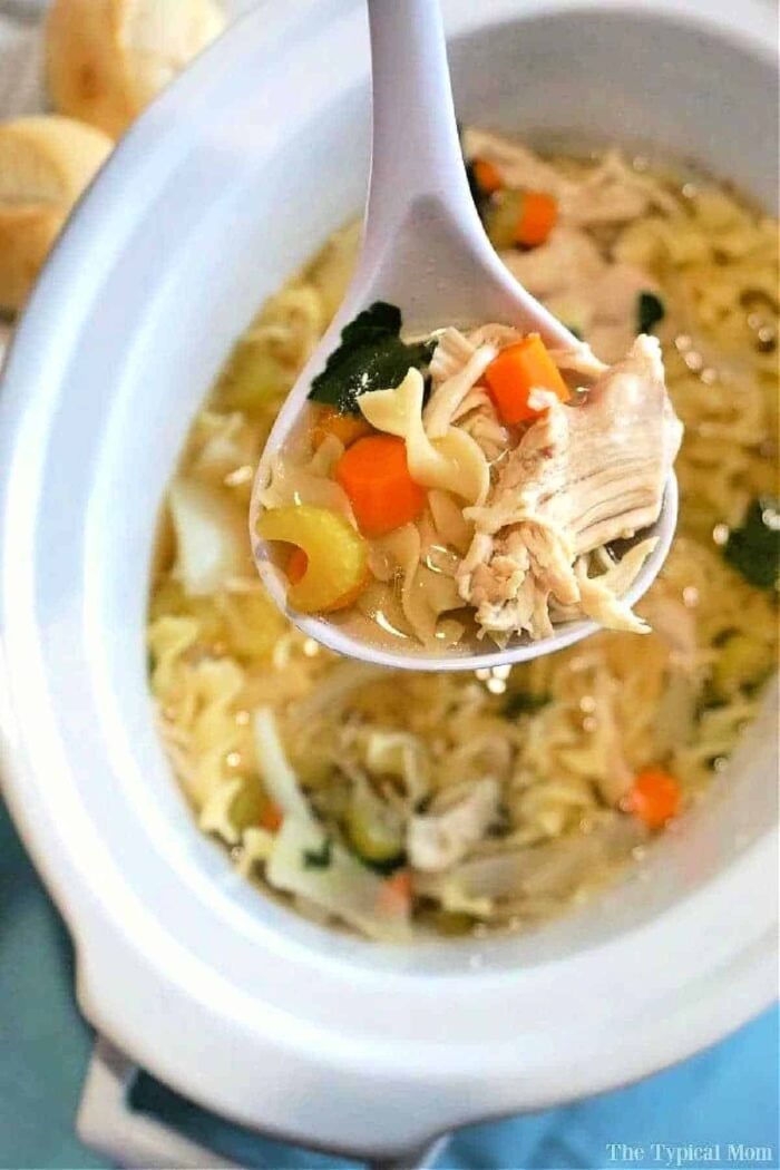 Crockpot Chicken Soup No Noodles