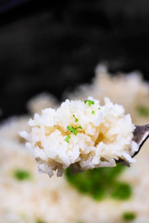 How to Cook Rice in Slow Cooker Crockpot White Rice