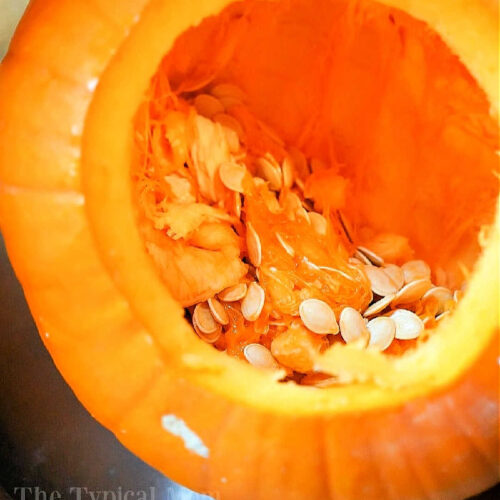 How to Clean Pumpkin Seeds & Roast Pumpkin Seeds