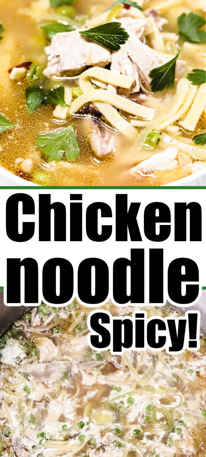 Spicy Chicken Noodle Soup With Leftover Chicken Or Fresh Meat   Spicy Chicken Noodle 