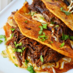 Instant Pot Birria Tacos