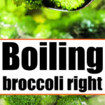 boiled broccoli