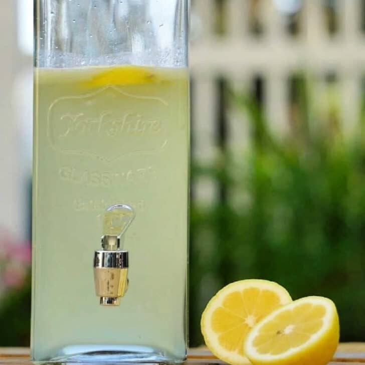 3 Ingredient Fresh Squeezed Lemonade Recipe Easy