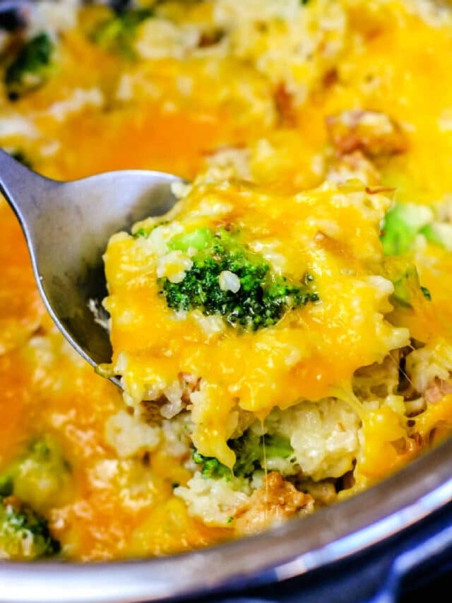 The BEST Ninja Foodi Recipes for Your Air Fryer and Pressure Cooker