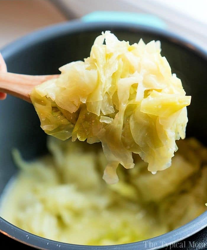 Ninja Foodi Recipes (30+ to get you started) - Olive & Artichoke