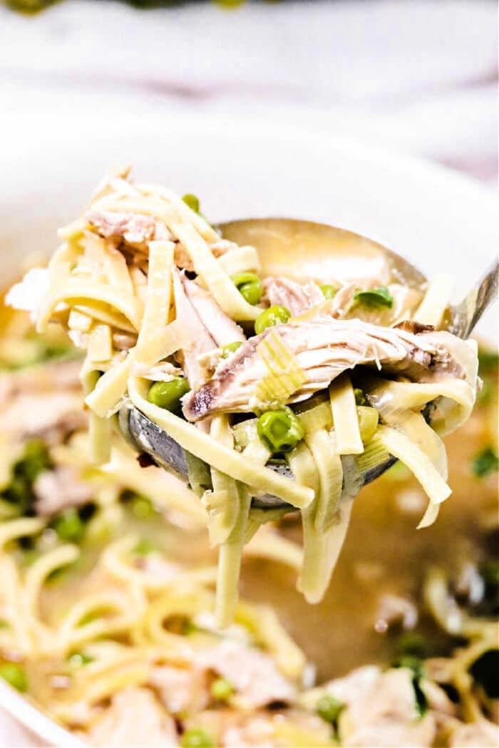 Chicken Noodle Whole Chicken Soup