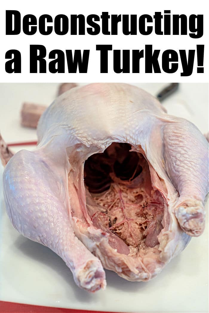 Cutting up a Raw Turkey