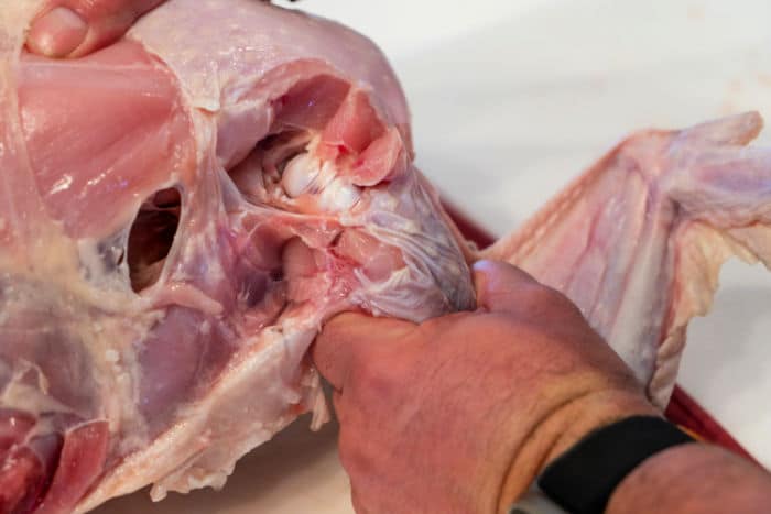 How to Cut a Raw Turkey