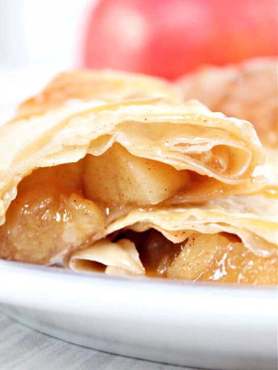 The BEST Ninja Foodi Recipes for Your Air Fryer and Pressure Cooker