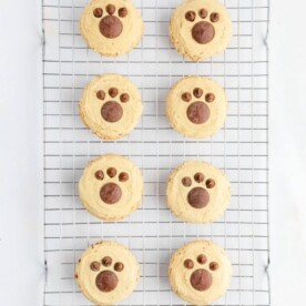 Polar Bear Cookies