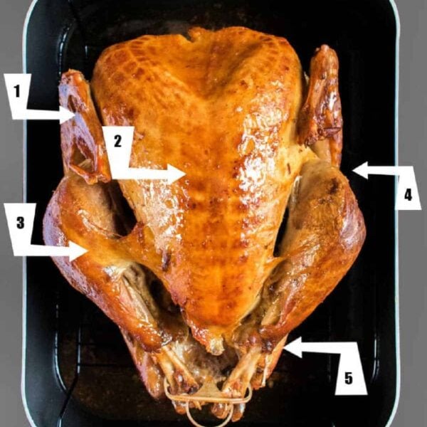 parts-of-a-turkey