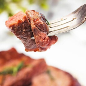 Sous Vide Frozen Steak