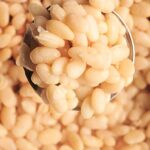 great northern beans recipe