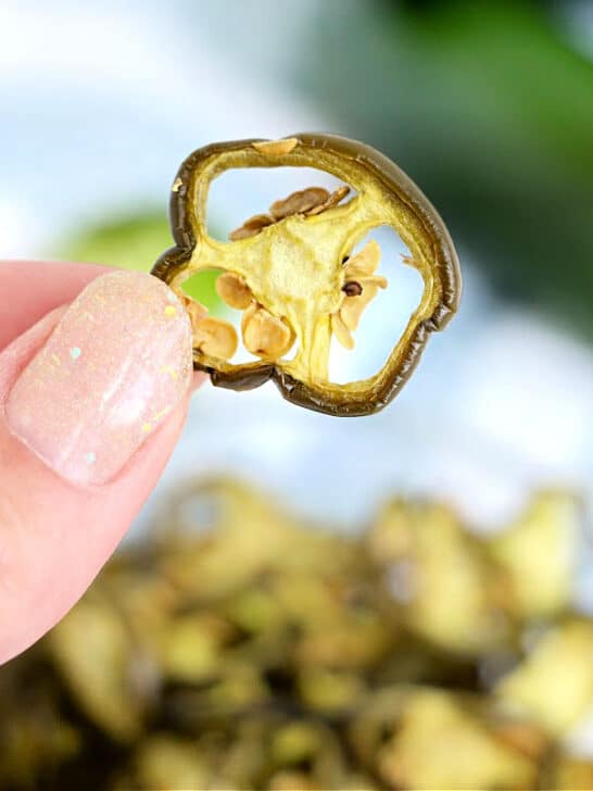 How to Make Jalapeno Powder Homemade Jalapeno Seasoning