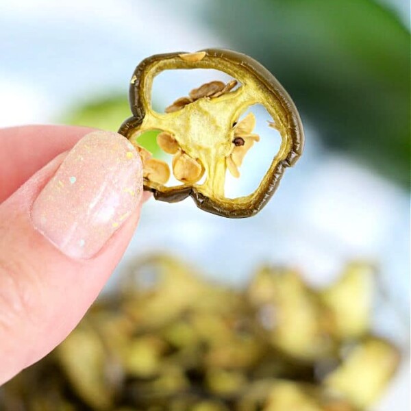 Close-up of a hand holding a slice of dried jalapeño, showcasing its intricate texture, with more slices softly blurred in the background.