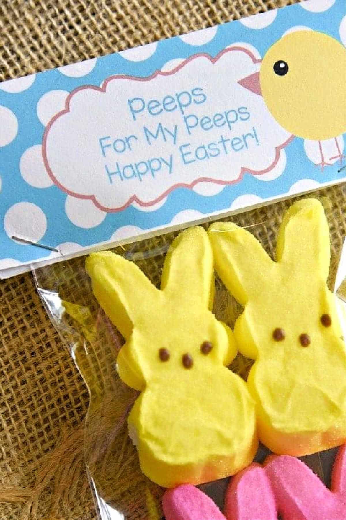 Free Easter Treat Bags Toppers - Printable Easter Goody Bags