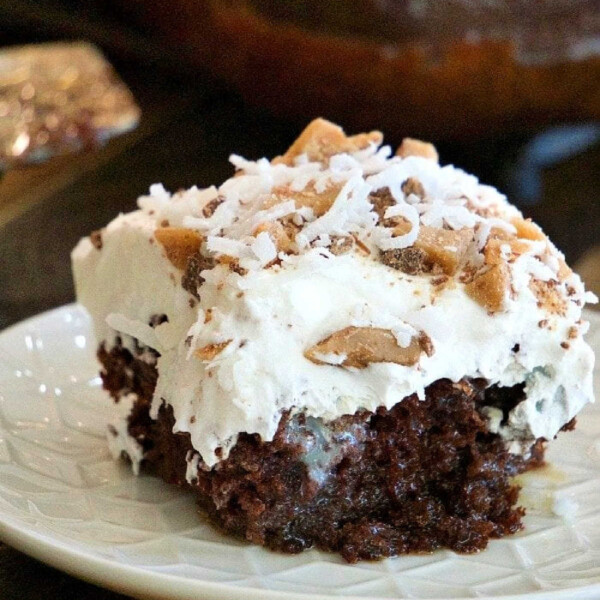 chocolate-coconut-cake