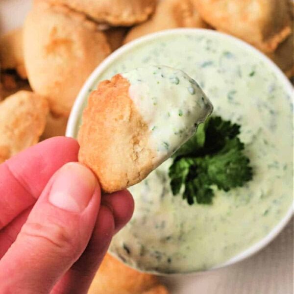 cilantro lime Empanada Dipping Sauce