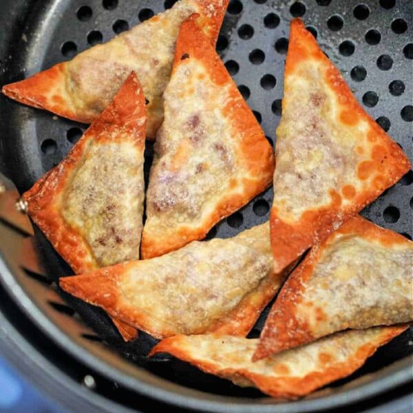 homemade air fryer wontons