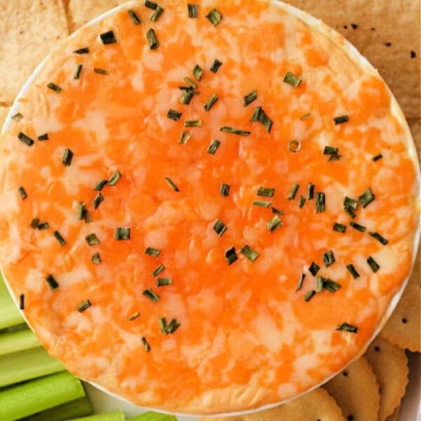 ninja foodi buffalo chicken dip