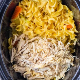 Slow Cooker Egg Noodles and Chicken