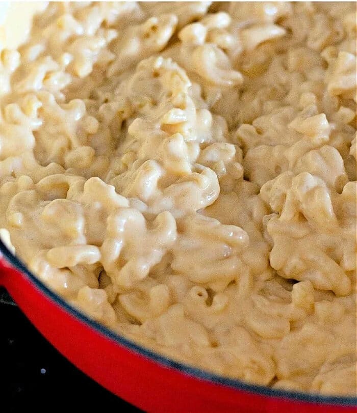 dutch oven macaroni and cheese