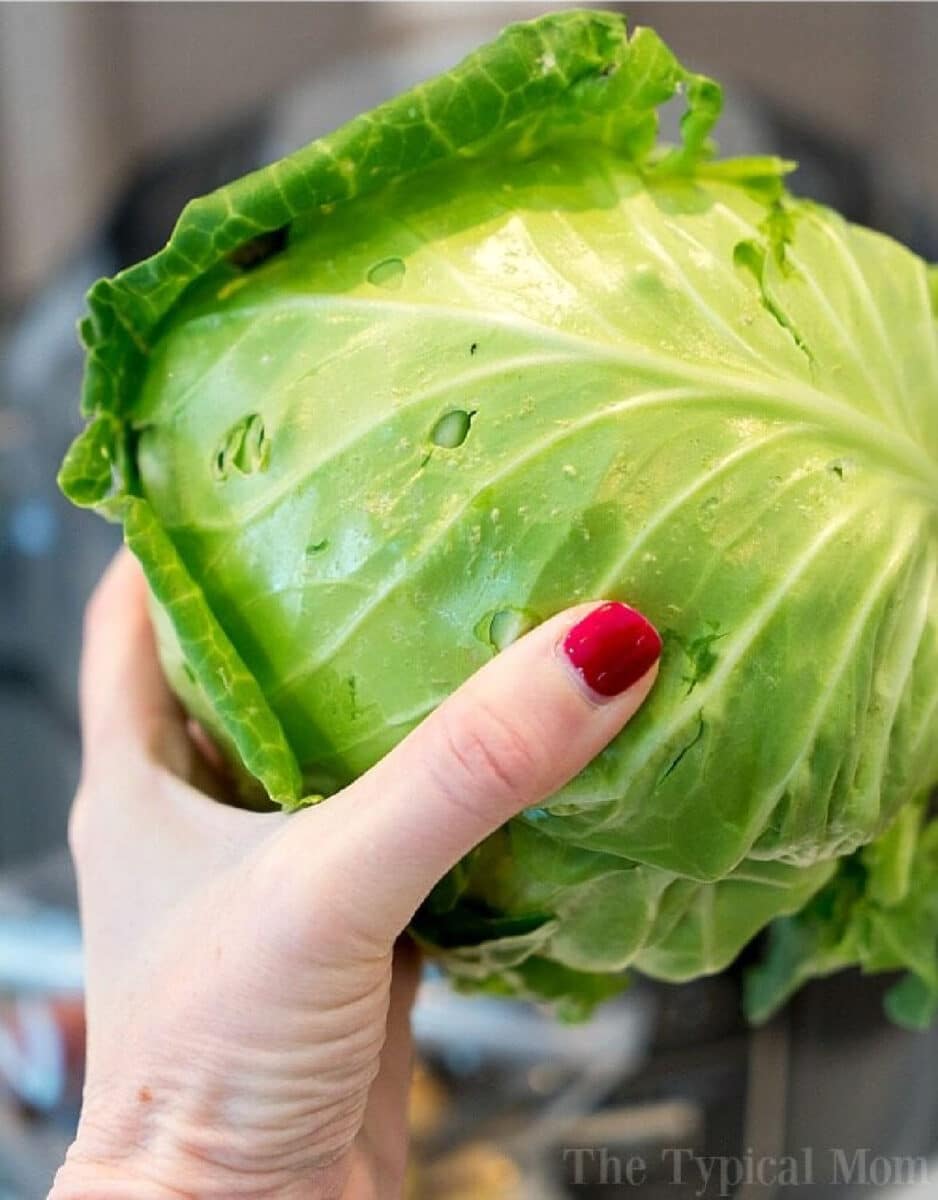 How To Cook Cabbage On Stove Air Fryer Instant Pot Or In Oven