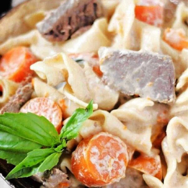 ninja foodi beef stroganoff with stew meat