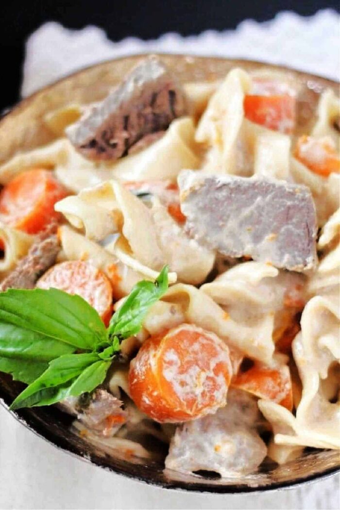 ninja foodi beef stroganoff with stew meat