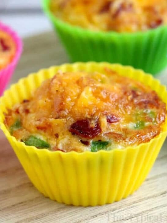 The BEST Ninja Foodi Recipes for Your Air Fryer and Pressure Cooker