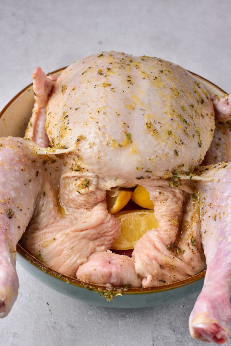 Stuffed Whole Chicken Instant Pot Oven Dutch Oven