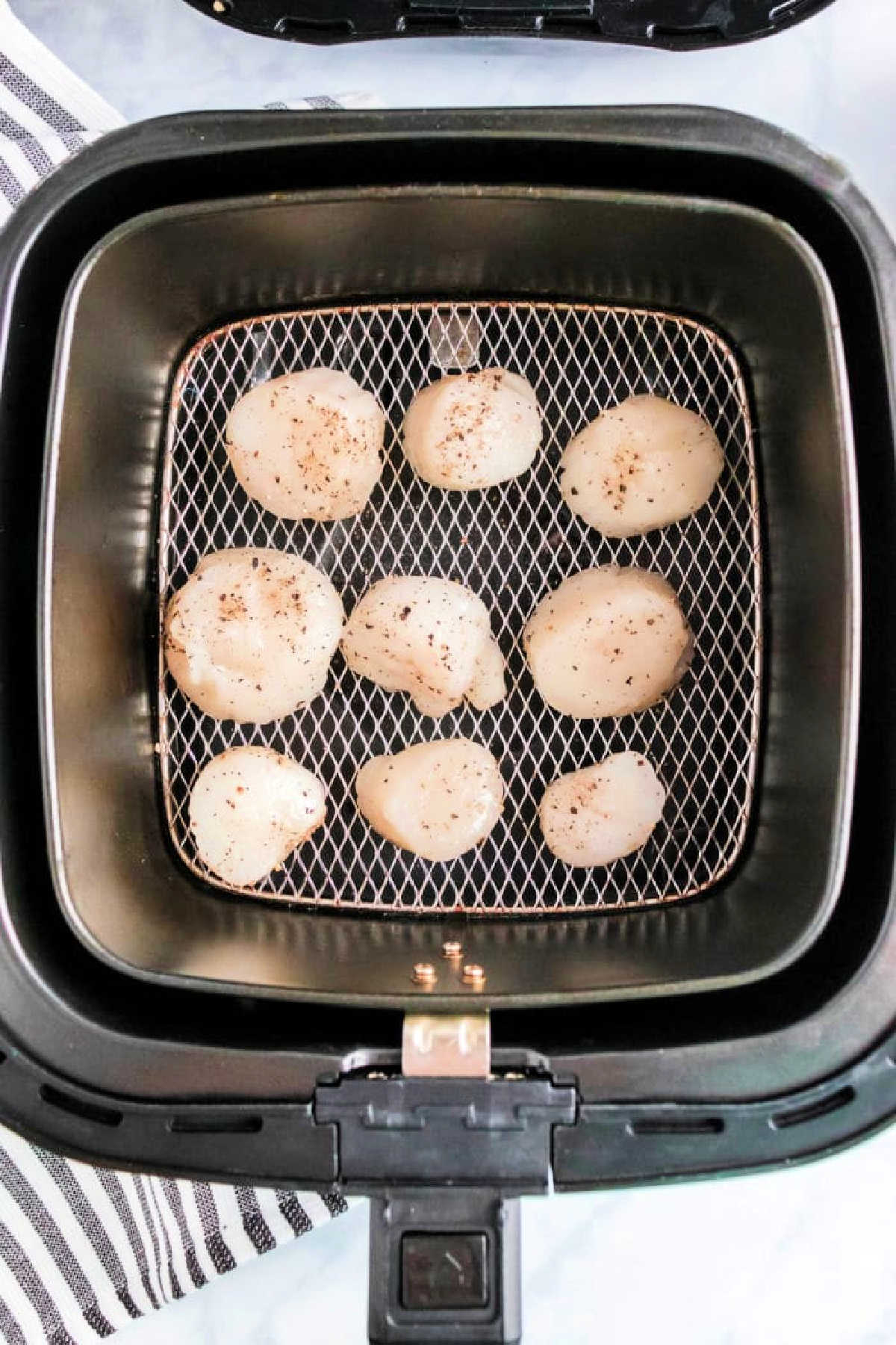 air fryer basket single layer scallop arrangement