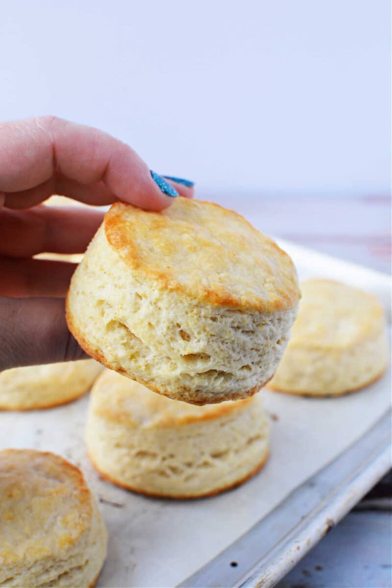 How to Make Biscuits from Scratch with Buttermilk Country Style