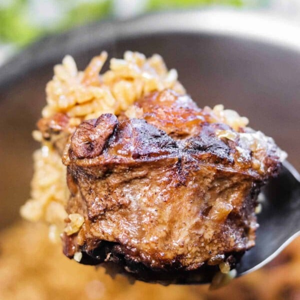 Close-up of a spoon holding a piece of braised pork with rice, reminiscent of a comforting oxtails and rice dish.