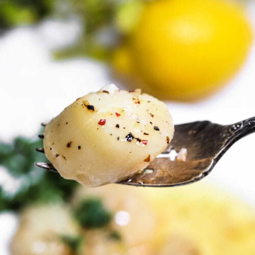 Traeger Smoked Scallops at 225 Recipe How to Smoke Scallops